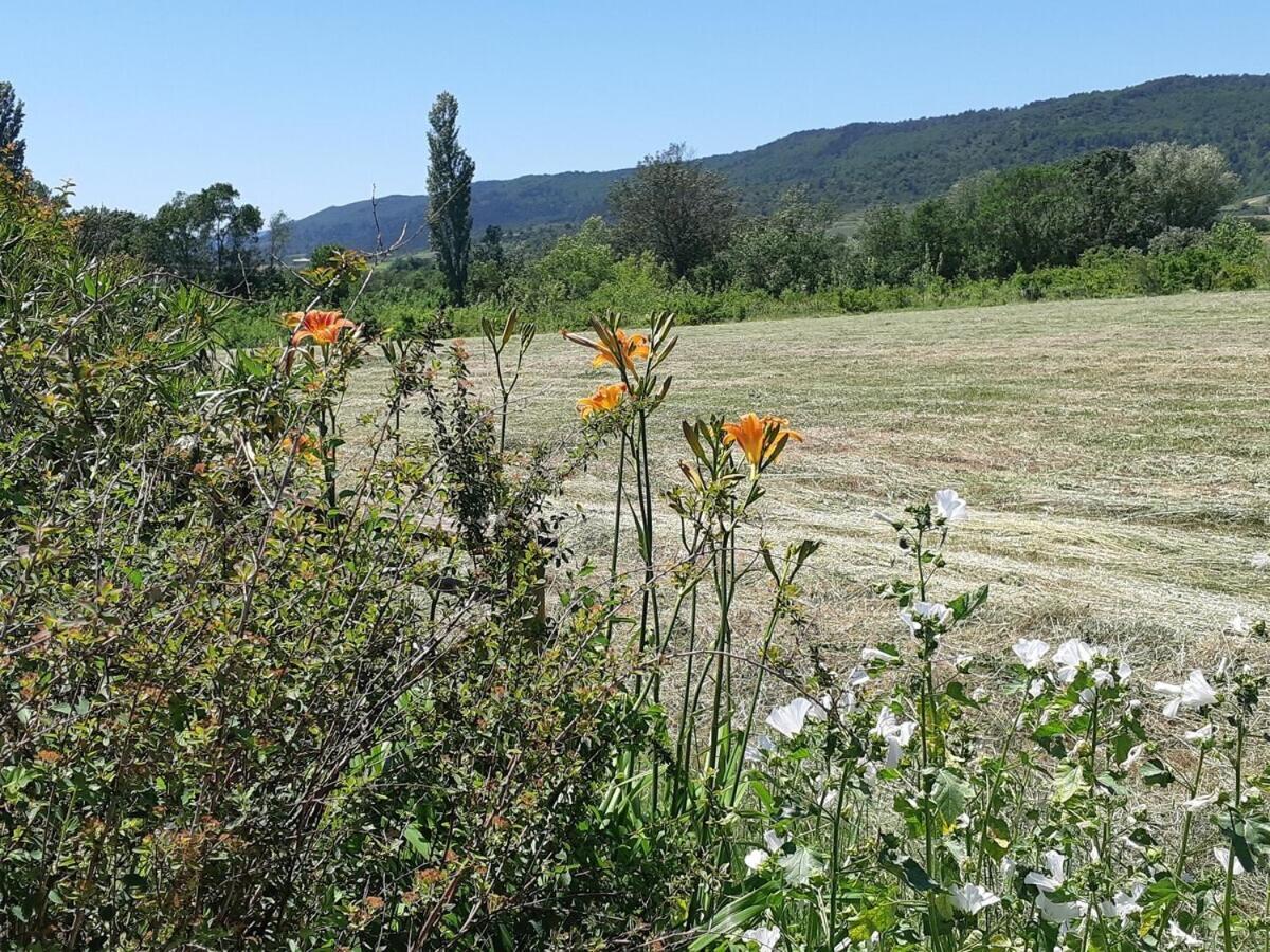 Gites La Musardiere Alba-la-Romaine الغرفة الصورة